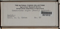 Image Associated With the Occurence